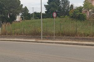 Terreni edificabili e agricoli