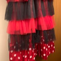 Costume di carnevale