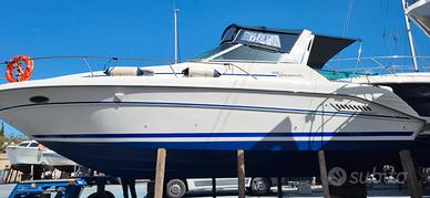 Sea ray 30