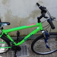 bici mtb raggio 26"