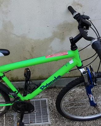 bici mtb raggio 26"