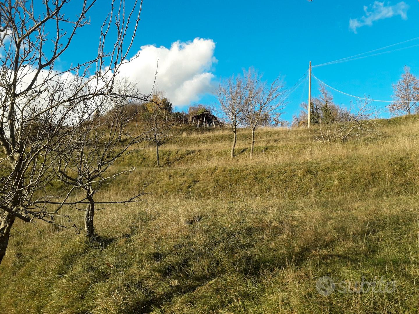 Terreno agricolo e boschivo - Vista 2
