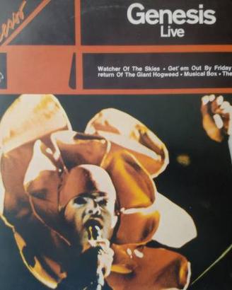 LP 33 GIRI IN VINILE