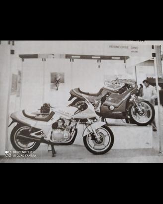 Suzuki Katana 750-1100