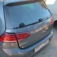 Volkswagen Golf 7 (VII) 1.6 del 2019