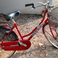 Bicicletta donna Holland Manuel 