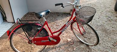 Bicicletta donna Holland Manuel 