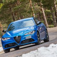 Ricambi Alfa Romeo Stelvio Giulia Giulietta Tonale