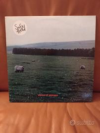 vinile LP dei Sofa Head