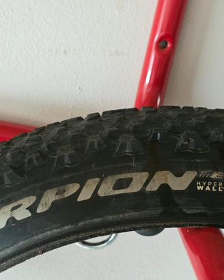 Copertone mtb