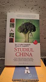 studiul china