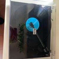 Vengo cappa Pro-ject