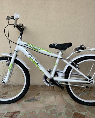 Bicicletta Velomarche