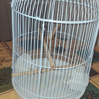 Gabbia Per Uccellini