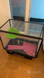 Gabbia Savic Zeno 2 per piccoli roditori