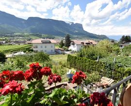 Appiano: Casa indipendente con giardino