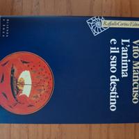 L'anima e il suo destino, Vito Mancuso