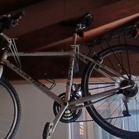 Mtb OLYMPIA Oversiza