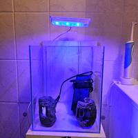 Mini acquario mobiletto 20 litri  luce +accessori