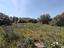 Immagine 27