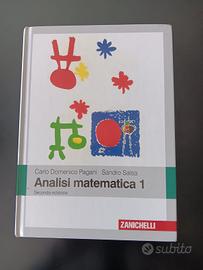 testo  analisi matematica 1  università 