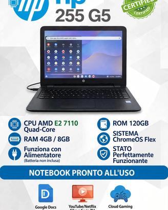 HP 255 ChromeOS