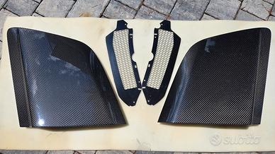 Audi R8 Sideblades Carbonio LMS Alargati
