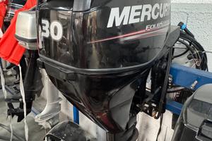 MERCURY F 30 - 2014