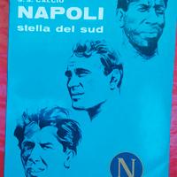 S.S. CALCIO NAPOLI STELLA DEL SUD 