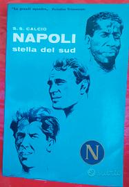 S.S. CALCIO NAPOLI STELLA DEL SUD 