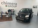 fiat-panda-1-2-young