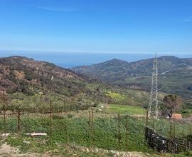 Terreno agricolo con fabbricato rurale