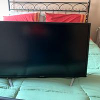 Televisore con lettore dvd