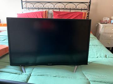 Televisore con lettore dvd