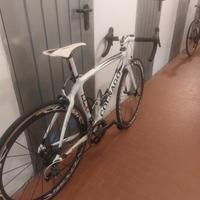 bici da corsa Colnago clx3.0 carbon