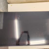 Samsung 60 pollici 
