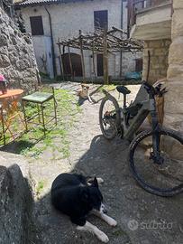 E bike