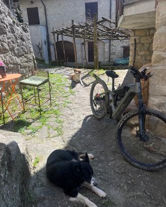 E bike