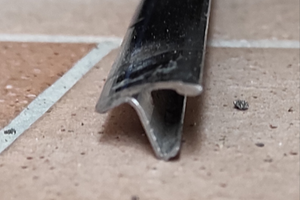 Profilo lunotto Lancia Fulvia Coupé