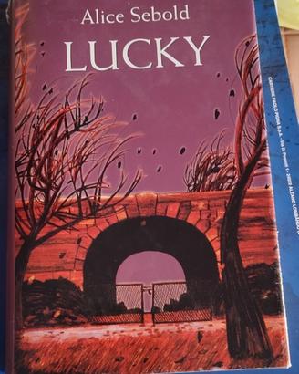 libro di Alice Sebold ( Lucky )