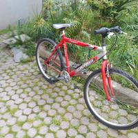 Olmo mtb sahara