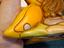 Immagine 5