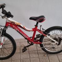 Bicicletta per bambino 8/9 anni