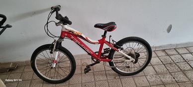 Bicicletta per bambino 8/9 anni