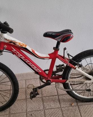Bicicletta per bambino 8/9 anni