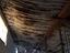 Immagine 14