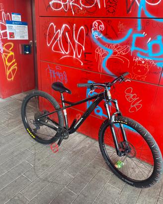 wheelie bike 29(SCAMBI ACCETTATI)