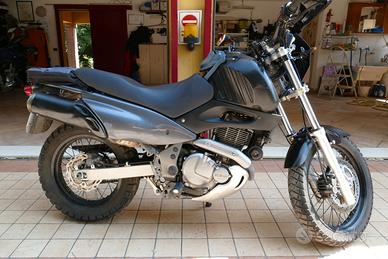 Suzuki Freewind 650