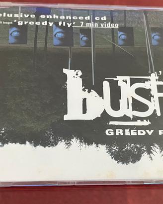 Cd Greedy Fly (Enchanged cd) Bush
