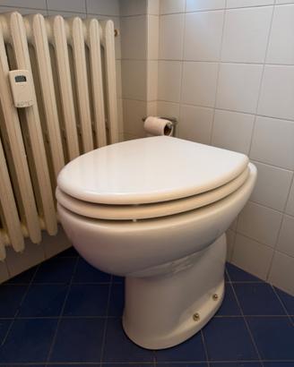 Wc per anziani e bidet